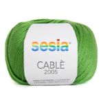 Immagine di SESIA CABLE 2005